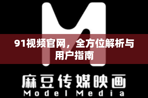 91视频官网，全方位解析与用户指南