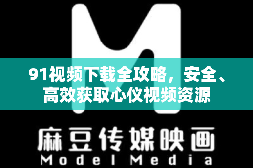 91视频下载全攻略，安全、高效获取心仪视频资源